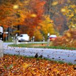 Sicher durch den Herbst mit dem Auto